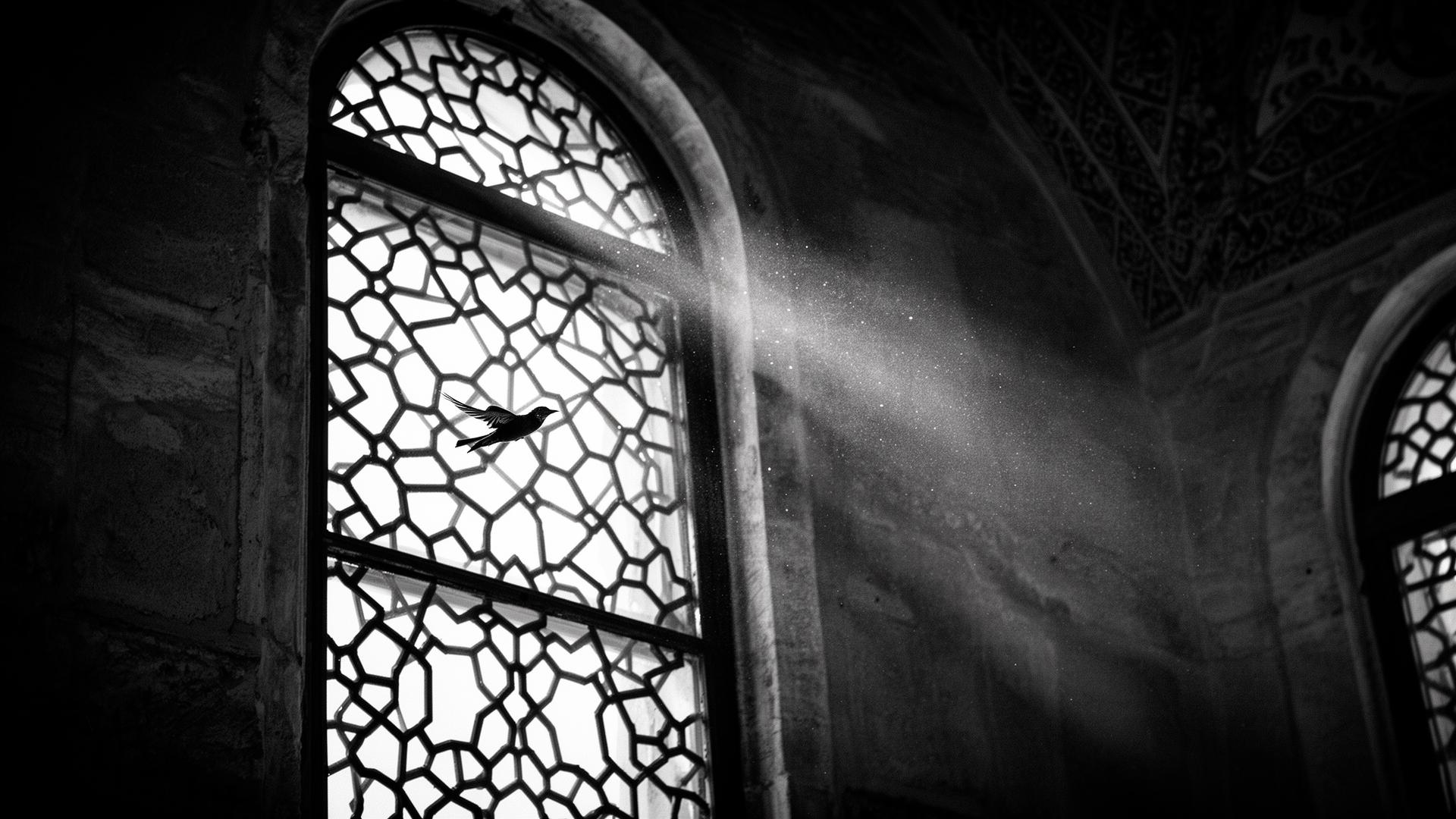 CAMİ PENCERESİ — IŞIK